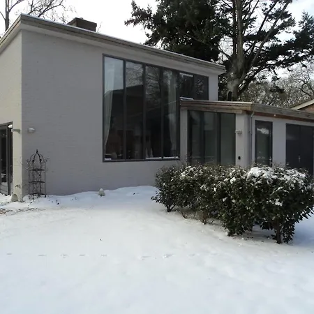 Modern Forest Retreat In 卑尔根