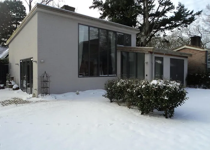 Modern Forest Retreat In 卑尔根